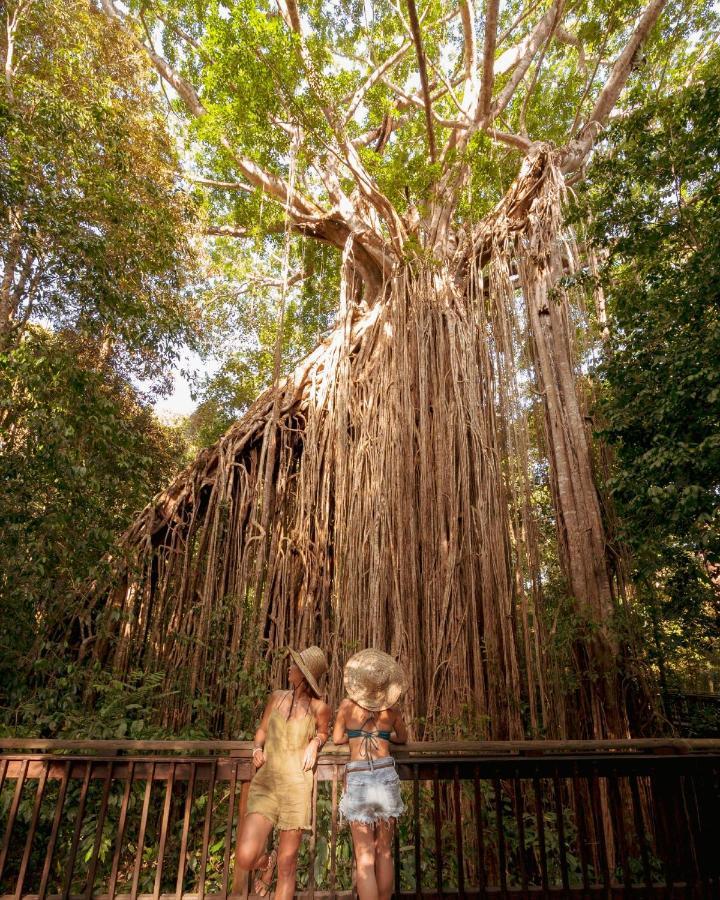 Coral Tree Inn Cairns Exterior foto